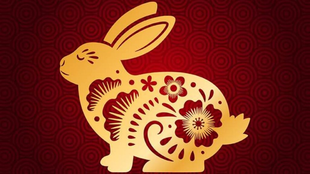 5. Rabbit