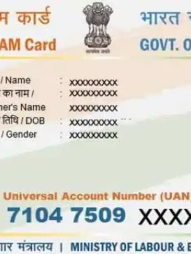 आपके ई-श्रम कार्ड में आई ₹1000 की नई राशि, जानें कैसे देखें पेमेंट स्टेटस